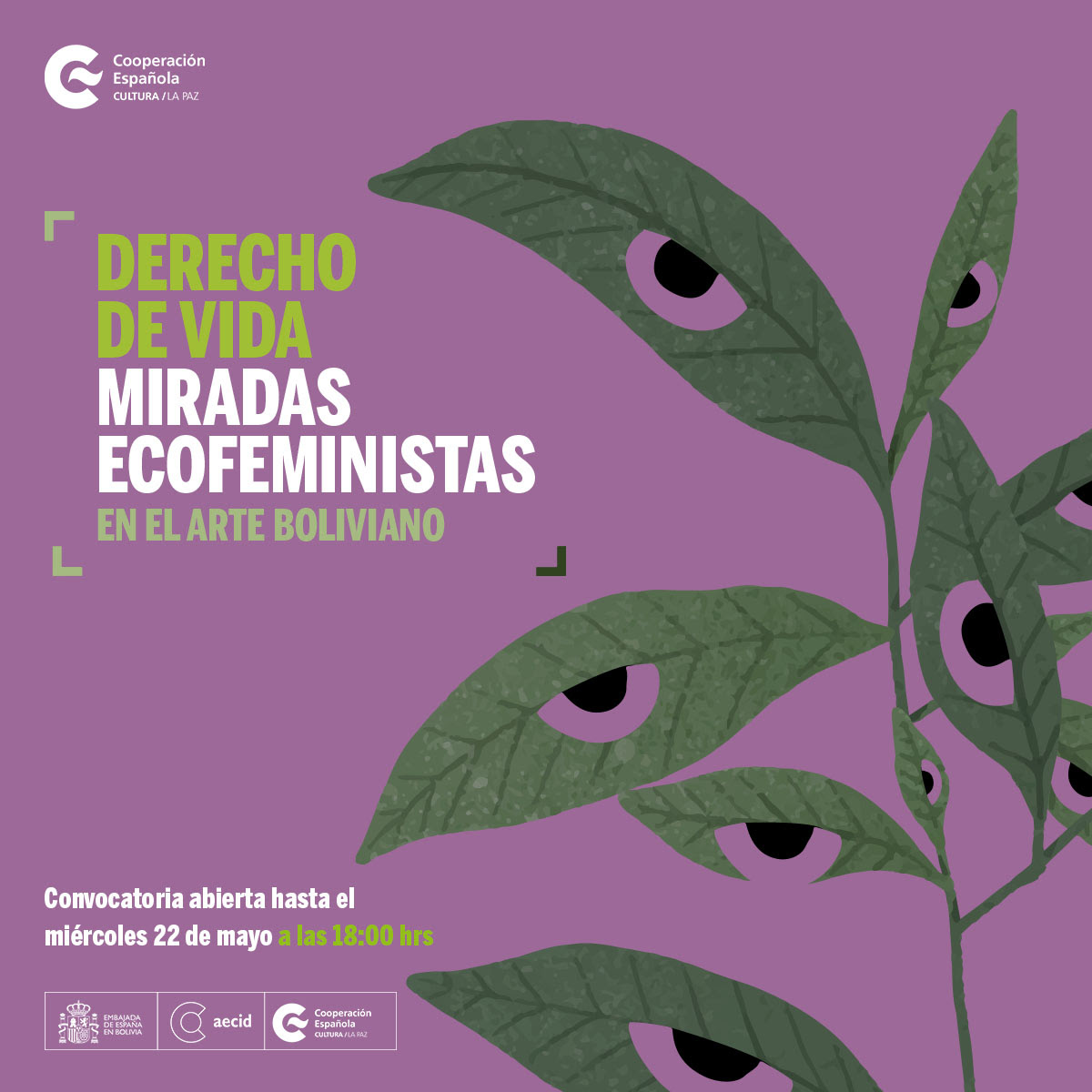 Derecho de Vida. Miradas Ecofeministas 