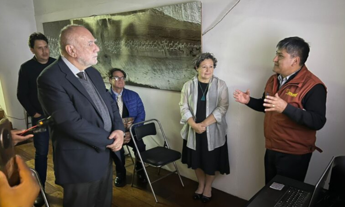 Sistematización, accesibilidad tecnológica Musef. 