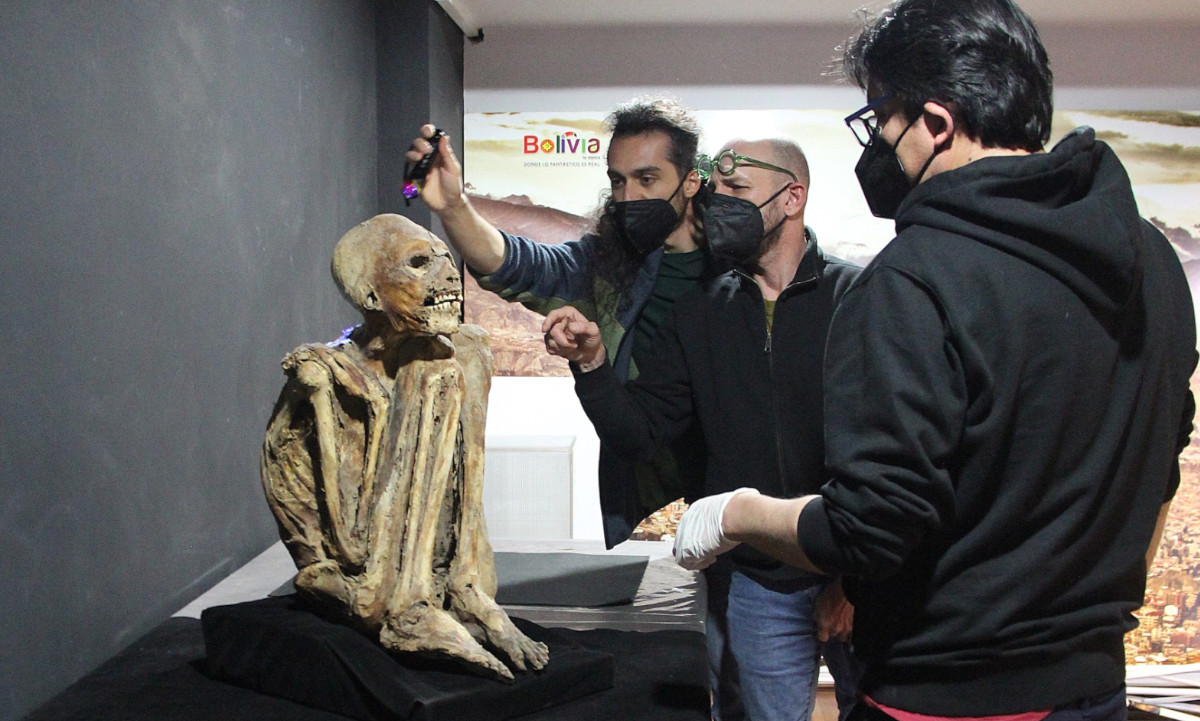 Observación muestras momias, Guido valverse 
